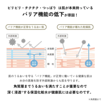 【lulumo】モイスチャーローション-高保湿化粧水 - 画像 (8)