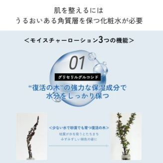 【lulumo】モイスチャーローション-高保湿化粧水 - 画像 (7)