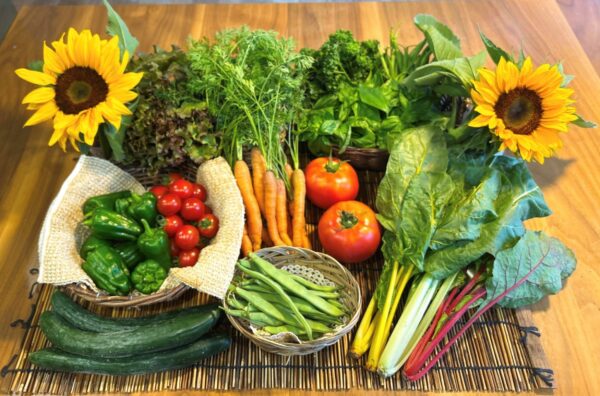 自然農法野菜セット
